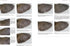 Moult and Ageing of European Passerines 2. ed. Jenni, L. & Winkler, R. 2019